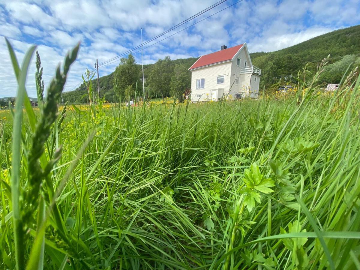 Unique And Charming With Fantastic Sea Views Feriehus